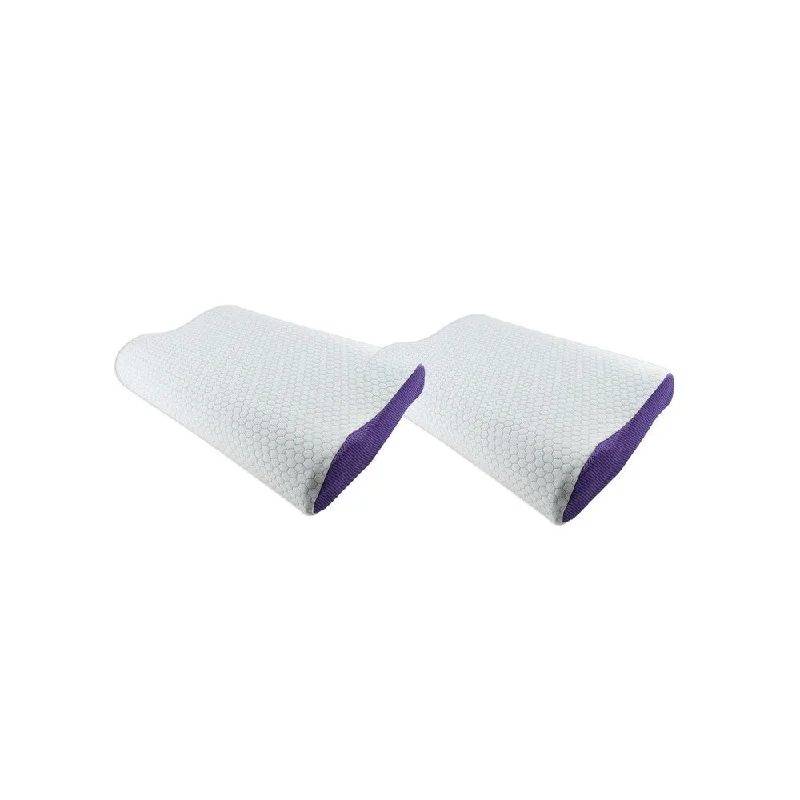 Euro Style Collection Super Cooling Gel/Memory Foam Pillow-Set of 2