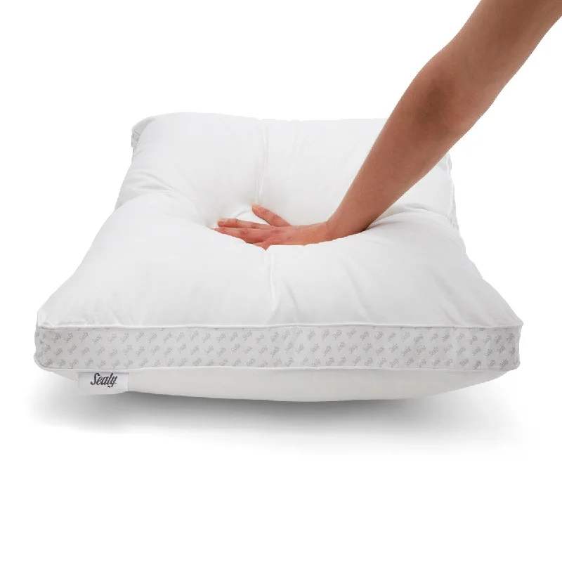 Sealy Down Alternative & Memory Foam Pillow