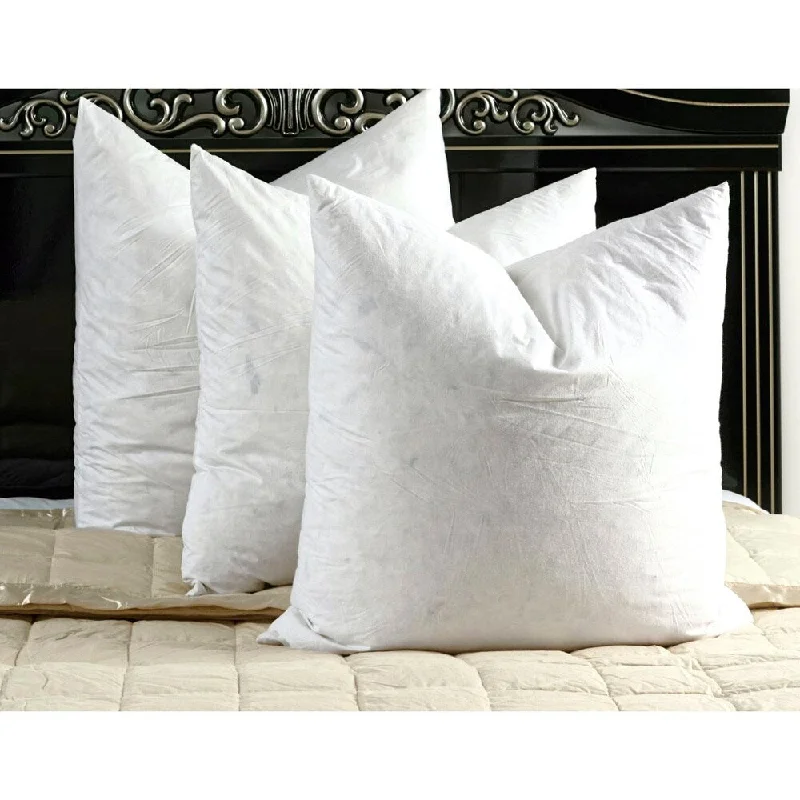 White Goose Feather and Down Euro Square Pillow (Set of 2)