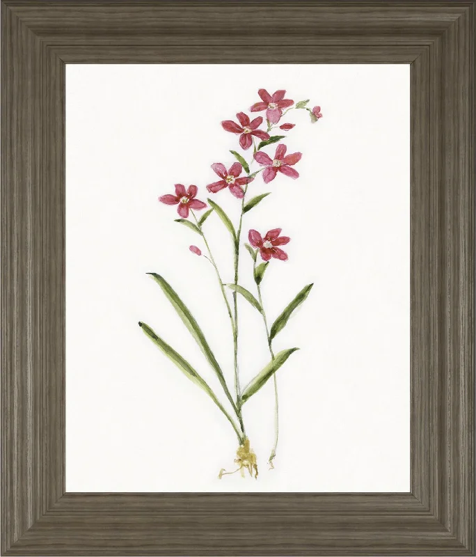 22x26 Delicate Pink I By Sally Swatland - Red