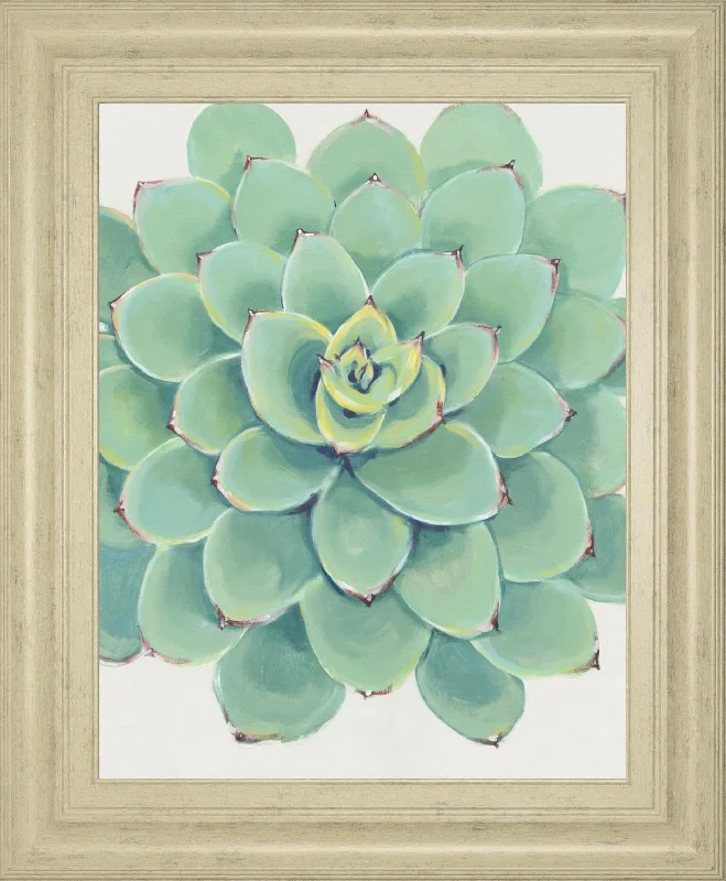 22x26 Pastel Succulent III By Tim OToole - Green