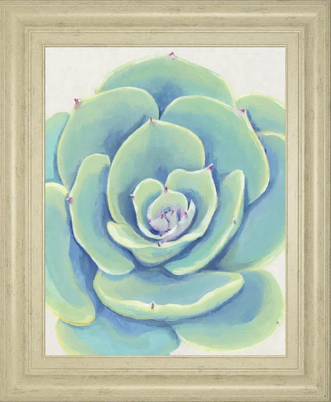 22x26 Pastel Succulent IV By Tim OToole - Light Blue